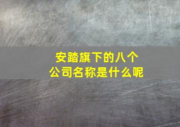 安踏旗下的八个公司名称是什么呢