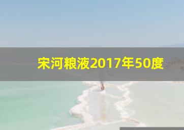 宋河粮液2017年50度