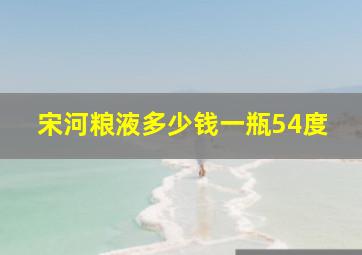 宋河粮液多少钱一瓶54度