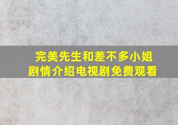 完美先生和差不多小姐剧情介绍电视剧免费观看