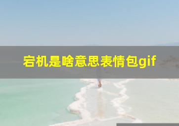 宕机是啥意思表情包gif