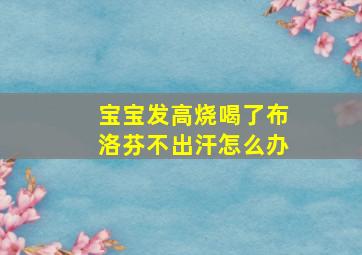 宝宝发高烧喝了布洛芬不出汗怎么办