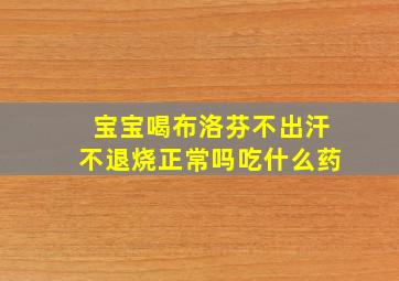 宝宝喝布洛芬不出汗不退烧正常吗吃什么药