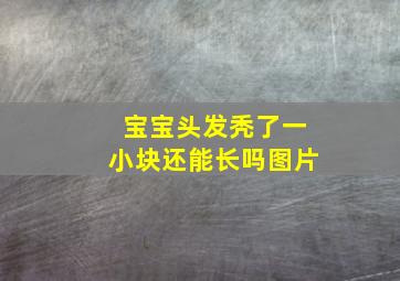 宝宝头发秃了一小块还能长吗图片