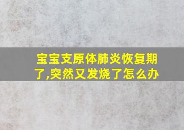 宝宝支原体肺炎恢复期了,突然又发烧了怎么办