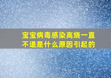 宝宝病毒感染高烧一直不退是什么原因引起的