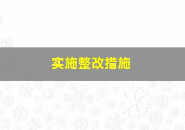 实施整改措施