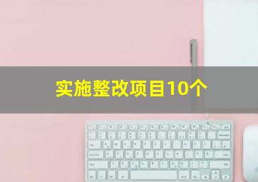 实施整改项目10个