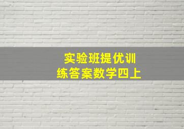 实验班提优训练答案数学四上