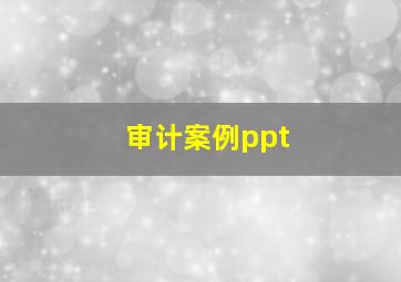 审计案例ppt