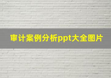 审计案例分析ppt大全图片