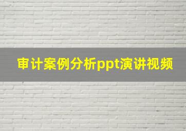 审计案例分析ppt演讲视频