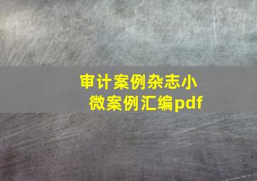 审计案例杂志小微案例汇编pdf