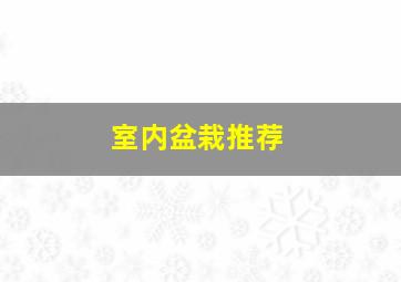 室内盆栽推荐