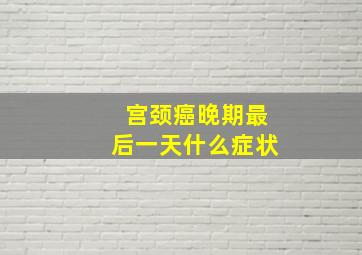 宫颈癌晚期最后一天什么症状