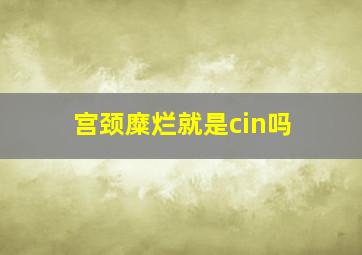 宫颈糜烂就是cin吗