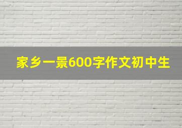 家乡一景600字作文初中生