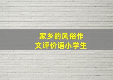 家乡的风俗作文评价语小学生