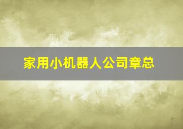 家用小机器人公司章总