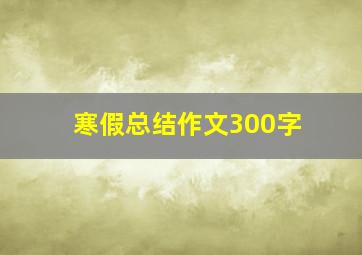 寒假总结作文300字