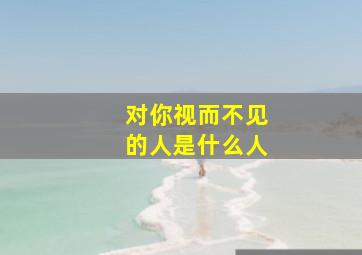 对你视而不见的人是什么人