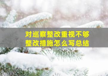 对巡察整改重视不够整改措施怎么写总结