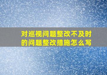 对巡视问题整改不及时的问题整改措施怎么写