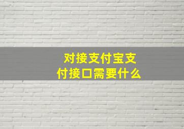 对接支付宝支付接口需要什么