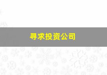 寻求投资公司