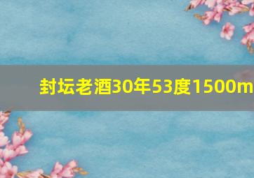 封坛老酒30年53度1500ml