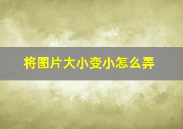 将图片大小变小怎么弄