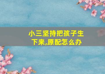 小三坚持把孩子生下来,原配怎么办