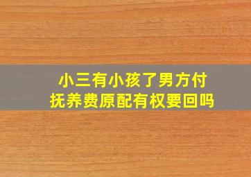 小三有小孩了男方付抚养费原配有权要回吗