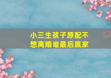 小三生孩子原配不想离婚谁最后赢家