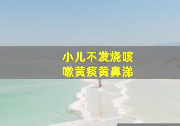 小儿不发烧咳嗽黄痰黄鼻涕