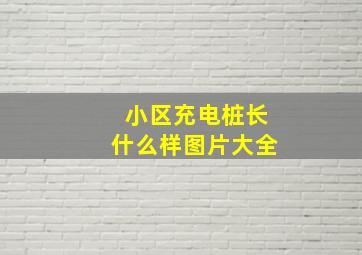 小区充电桩长什么样图片大全