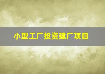 小型工厂投资建厂项目