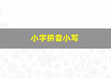 小字拼音小写