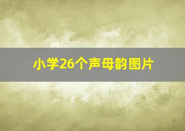 小学26个声母韵图片