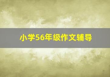 小学56年级作文辅导