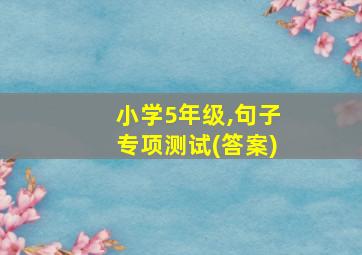 小学5年级,句子专项测试(答案)