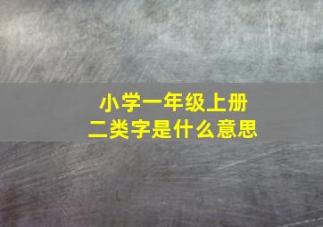 小学一年级上册二类字是什么意思