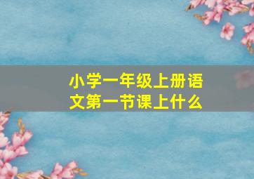 小学一年级上册语文第一节课上什么