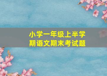 小学一年级上半学期语文期末考试题