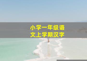 小学一年级语文上学期汉字