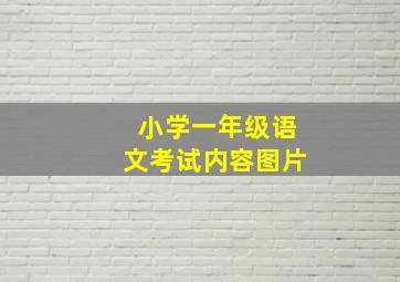 小学一年级语文考试内容图片