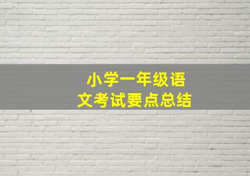 小学一年级语文考试要点总结