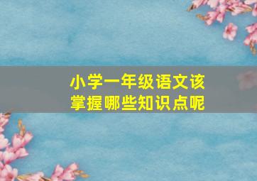 小学一年级语文该掌握哪些知识点呢