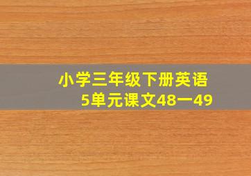 小学三年级下册英语5单元课文48一49