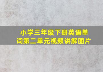 小学三年级下册英语单词第二单元视频讲解图片